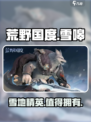 荒野国度雪嗥介绍介绍
