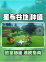 【星布谷地】种出金库💰暴富攻略