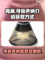 鸣潮🔥寻音声纳获取全攻略✨