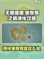 无限暖暖🔥银夜莺之哨净化攻略来啦！