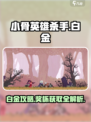 小骨英雄杀手🎮白金攻略｜快速拿奖杯🔥