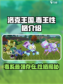 洛克王国世界毒王厉害吗介绍