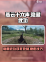 燕云十六声🔥隐藏武功全解锁攻略🎉