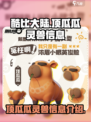 酷比大陆顶瓜瓜怎么样介绍