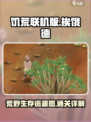 挨饿荒野挨饿德的噩梦资源图介绍
