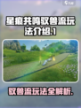 星痕共鸣驭兽流🔥玩法超详细攻略来啦！