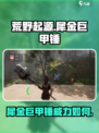 荒野起源🔥犀金巨甲锤超详细解析来啦！