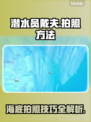 潜水员戴夫拍照攻略🔥游戏党必看！📸