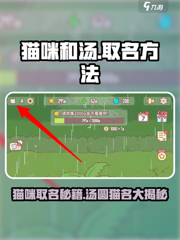 🎮《猫咪和汤》取名绝招！秒变吸睛王✨截图1