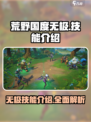 荒野国度无极怎么样介绍