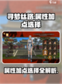 寻梦丝路属性怎么加点介绍