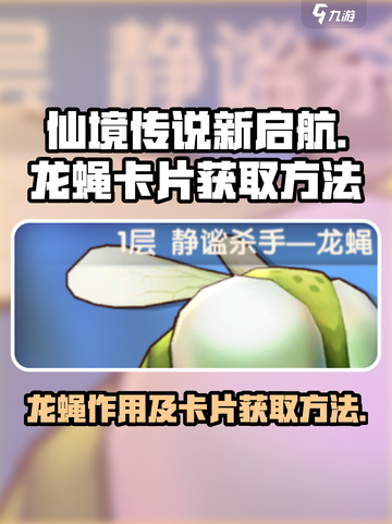 仙境传说新启航🔥龙蝇卡片获取全攻略！截图1