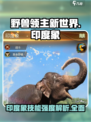 《野兽领主新世界》印度象技能🔥超强解析来啦！