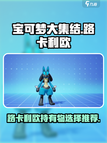 宝可梦大集结路卡利欧持有物推荐介绍截图1