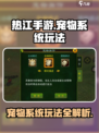 热江手游宠物系统怎么玩介绍