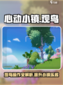 心动小镇观鸟操作怎么做介绍