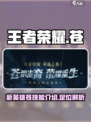 王者荣耀苍是谁介绍