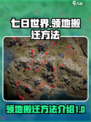 七日世界怎么搬迁领地介绍