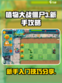 植物大战僵尸3攻略介绍