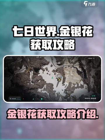 七日世界🔥金银花快速获取攻略💎截图1
