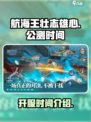 航海王壮志雄心公测时间是哪天介绍