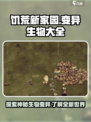 饥荒新家园🔥变异生物大全来了！快看➡