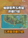 仙剑世界🔥飞岩鼠超详细解析来了！💥