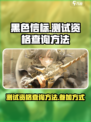 黑色信标测试资格查询方法介绍