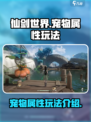 仙剑世界宠物有哪些介绍