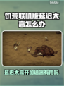 饥荒联机版延迟高？加速器安排上！🔥🎮