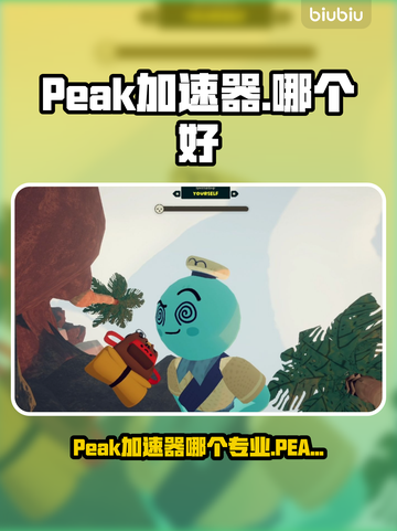 🔥Peak加速器哪个专业？游戏党必看！🎮截图1