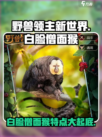野兽领主新世界🔥白脸僧面猴特点全揭秘！Monkey✨截图1
