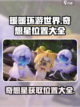 无限暖暖奇想星怎么拿介绍截图1