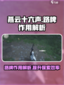 燕云十六声路牌是干什么的介绍