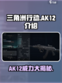 三角洲行动ak12介绍介绍