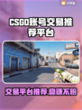 CSGO账号交易哪家强？🔥专业平台推荐来啦！🎮