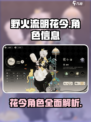 野火流明花今怎么样介绍