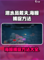 潜水员戴夫海鳗怎么抓介绍