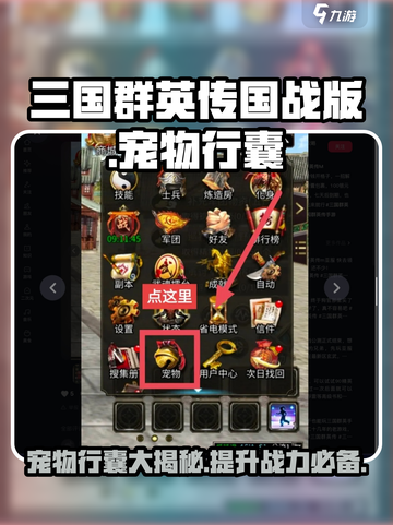三国群英传国战版宠物行囊有哪些介绍截图1