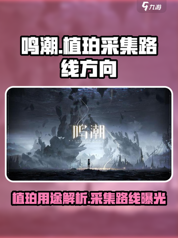 鸣潮植珀有什么用介绍截图1