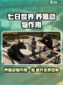 七日世界养殖动物有什么用介绍