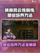 侠客风云传前传楚绘培养方法介绍