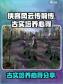 侠客风云传前传古实培养心得介绍