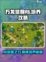 万龙觉醒R5怎么得介绍