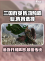 三国群英传鸿鹄霸业开荒阵容怎么选介绍