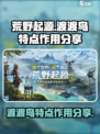 荒野起源渡渡鸟的特点分享介绍