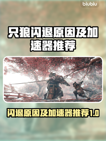 只狼闪退？用这款加速器🔥畅玩无忧！🎮截图1