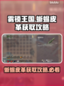 雾锁王国🎉：蜥蜴皮革获取秘籍大公开！