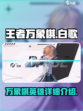王者万象棋白歌怎么样介绍