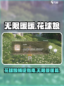 无限暖暖花球娘怎么抓介绍